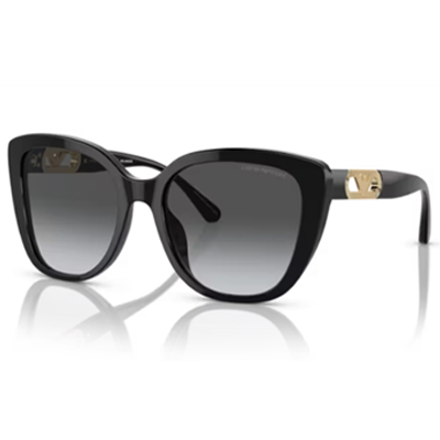 Emporio Armani EA4214U Sunglasses